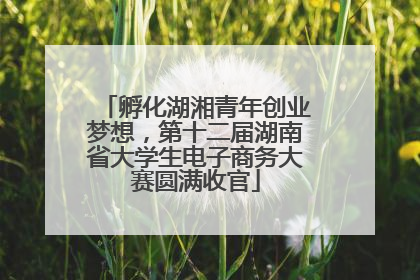 孵化湖湘青年创业梦想，第十二届湖南省大学生电子商务大赛圆满收官
