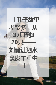 孔子故里孝贤多｜从37只到320只——刘健让泗水裘皮羊重生