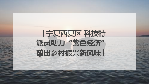 宁夏西夏区 科技特派员助力“紫色经济”酿出乡村振兴新风味