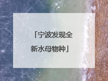 宁波发现全新水母物种