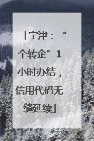 宁津：“个转企”1小时办结，信用代码无缝延续