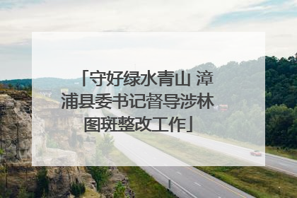 守好绿水青山 漳浦县委书记督导涉林图斑整改工作