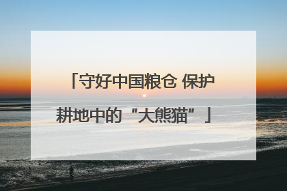 守好中国粮仓 保护耕地中的“大熊猫”