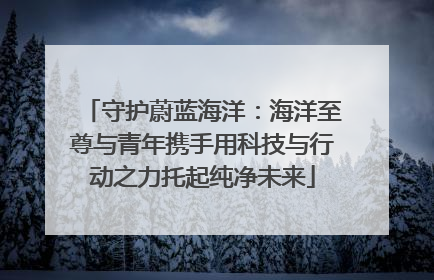 守护蔚蓝海洋：海洋至尊与青年携手用科技与行动之力托起纯净未来