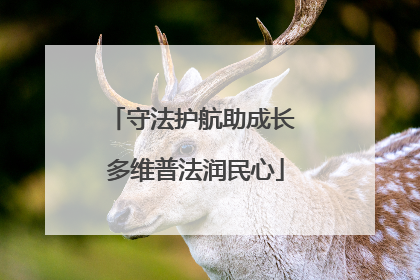 守法护航助成长 多维普法润民心