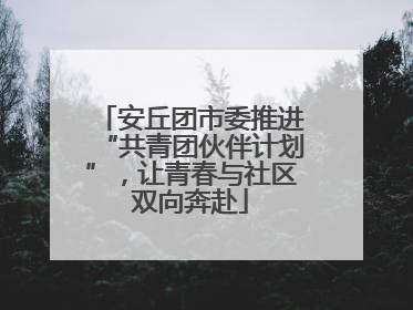 安丘团市委推进“共青团伙伴计划”，让青春与社区双向奔赴
