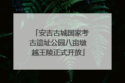 安吉古城国家考古遗址公园八亩墩越王陵正式开放