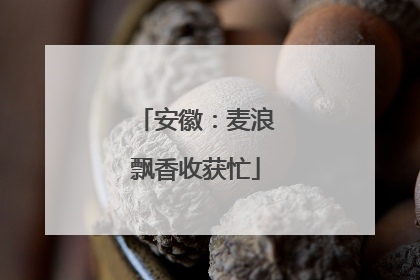 安徽：麦浪飘香收获忙