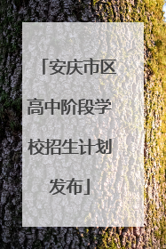 安庆市区高中阶段学校招生计划发布