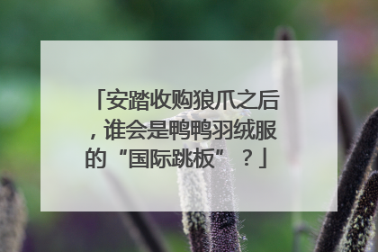 安踏收购狼爪之后，谁会是鸭鸭羽绒服的“国际跳板”？