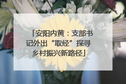 安阳内黄：支部书记外出“取经”探寻乡村振兴新路径