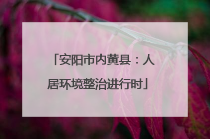 安阳市内黄县：人居环境整治进行时