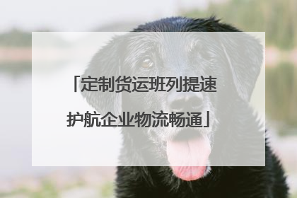 定制货运班列提速 护航企业物流畅通