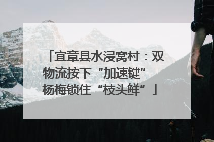 宜章县水浸窝村：双物流按下“加速键” 杨梅锁住“枝头鲜”