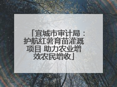 宜城市审计局：护航红薯育苗灌溉项目 助力农业增效农民增收