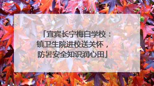 宜宾长宁梅白学校：镇卫生院进校送关怀，防暑安全知识润心田