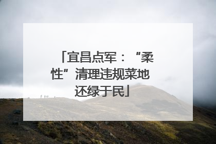 宜昌点军：“柔性”清理违规菜地 还绿于民