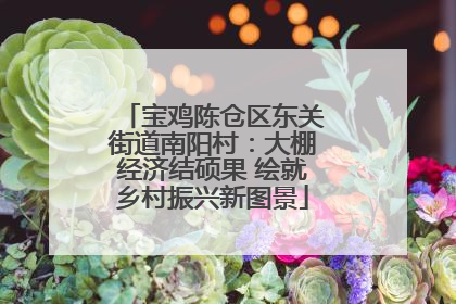宝鸡陈仓区东关街道南阳村：大棚经济结硕果 绘就乡村振兴新图景