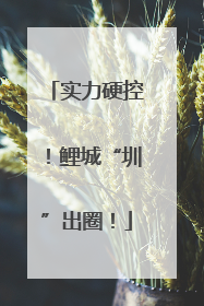 实力硬控！鲤城“圳”出圈！