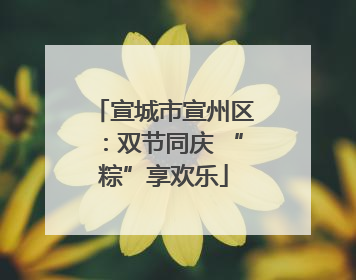 宣城市宣州区：双节同庆 “粽”享欢乐