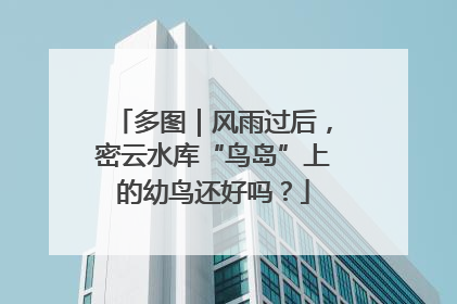 多图｜风雨过后，密云水库“鸟岛”上的幼鸟还好吗？