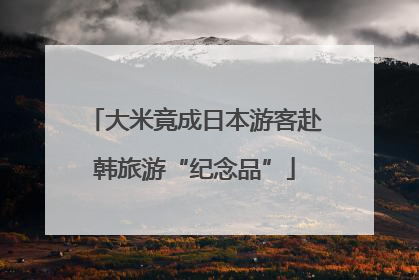 大米竟成日本游客赴韩旅游“纪念品”