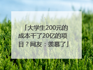 大学生200元的成本干了20亿的项目？网友：羡慕了