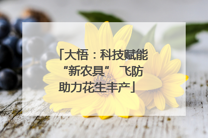 大悟：科技赋能“新农具” 飞防助力花生丰产