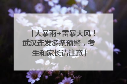 大暴雨+雷暴大风！武汉连发多条预警，考生和家长请注意