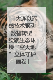 大连以遥感技术驱动数智转型 绘就生态环境“空天地”立体守护画卷