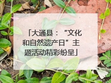 大通县：“文化和自然遗产日”主题活动精彩纷呈
