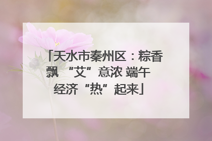 天水市秦州区：粽香飘 “艾”意浓 端午经济“热”起来