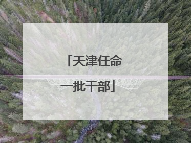 天津任命一批干部