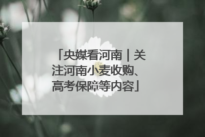 央媒看河南｜关注河南小麦收购、高考保障等内容