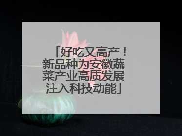 好吃又高产！新品种为安徽蔬菜产业高质发展注入科技动能