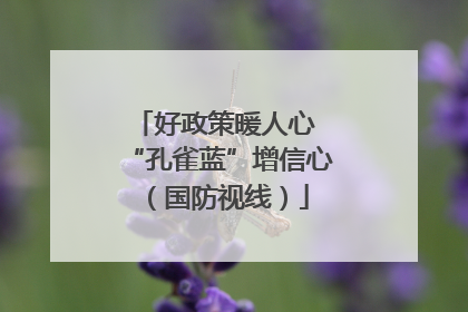 好政策暖人心 “孔雀蓝”增信心（国防视线）