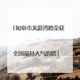 如皋市龙游湾路荣获全国最具人气的路