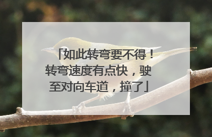 如此转弯要不得！转弯速度有点快，驶至对向车道，撞了