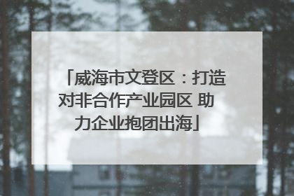 威海市文登区：打造对非合作产业园区 助力企业抱团出海
