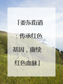 娄东街道：传承红色基因，赓续红色血脉