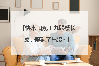 快来围观！九眼楼长城，傻狍子出没~
