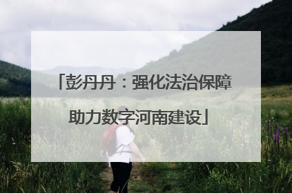 彭丹丹：强化法治保障 助力数字河南建设