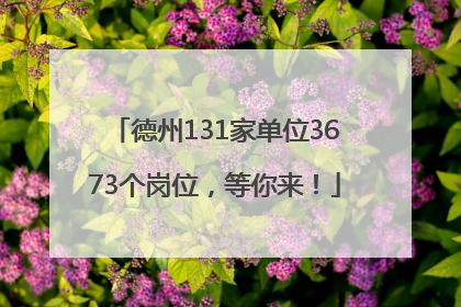 德州131家单位3673个岗位，等你来！
