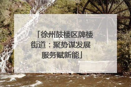 徐州鼓楼区牌楼街道：聚势谋发展 服务赋新能