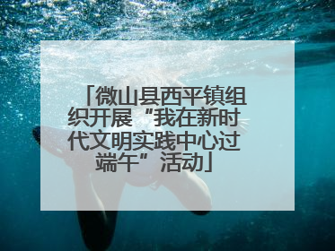 微山县西平镇组织开展“我在新时代文明实践中心过端午”活动