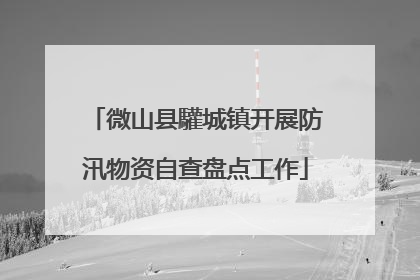 微山县驩城镇开展防汛物资自查盘点工作