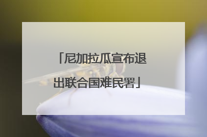 尼加拉瓜宣布退出联合国难民署