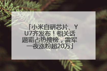 小米自研芯片、YU7齐发布！相关话题霸占热搜榜，雷军一夜涨粉超20万