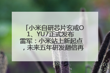 小米自研芯片玄戒O1、YU7正式发布 雷军：小米站上新起点，未来五年研发翻倍再投2000亿元