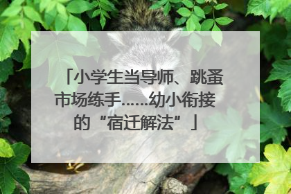 小学生当导师、跳蚤市场练手……幼小衔接的“宿迁解法”
